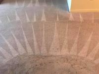 Bama's Best Carpet Cleaning image 1